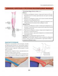 Нейромышечный тейпинг. От теории к практике — Девід Блоу #19