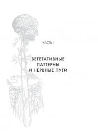 Поливагальные упражнения для развития ощущения безопасности и связи — Деб Дана #21