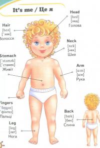 English. Мої перші слова #5