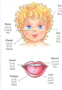 English. Мої перші слова #6