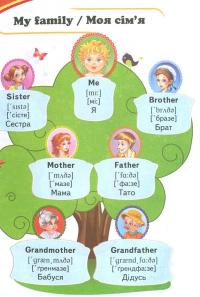 English. Мої перші слова #7