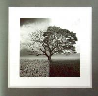 Що потрібно знати українцям про економіку — Дмитрий Бураков #8