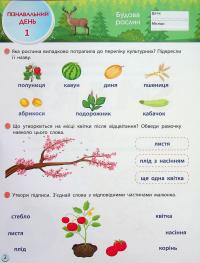 SMARTліто. Іду у 3 клас #4