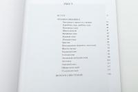 Вишивка козацької старшини ХVІІ–ХVІІ століть. Техніки — Віра Зайченко #5