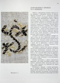 Вишивка козацької старшини ХVІІ–ХVІІ століть. Техніки — Віра Зайченко #20