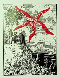 Каміння і цвяхи — Юлія Мусаковська #9