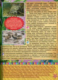 Підводний світ. Дитяча енциклопедія (Жовта) — Юлія Карпенко #16