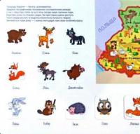 Зазирни у віконце. Атлас тварин — Олександр Коваль #2