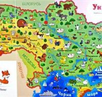 Зазирни у віконце. Атлас тварин — Олександр Коваль #3