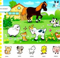 Зазирни у віконце. Хто чия мама? — Олександр Коваль #2