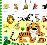 Зазирни у віконце. Хто чия мама? — Олександр Коваль #3