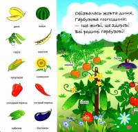 Зазирни у віконце. Ходить гарбуз по городу — Олександр Коваль #2