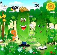 Зазирни у віконце. Ходить гарбуз по городу — Олександр Коваль #3