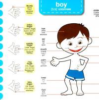 Зазирни у віконце. Body/Тіло — Олександр Коваль #2