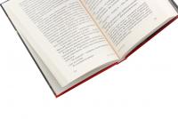 Божевільний рейд — Сергій Ухачевський #5