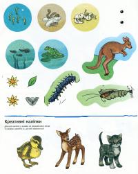Чому? Чого? Навіщо? Малята тварин. Інтерактивна книжка для дітей віком від 4 до 7 років — Штефан Ріхтер #15