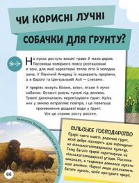 ДОВКОЛАПИТАНЬ. Енциклопедія юних розумників — Нeнсi Дiкманн #12