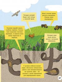 ДОВКОЛАПИТАНЬ. Енциклопедія юних розумників — Нeнсi Дiкманн #13