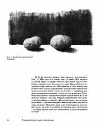 Рослини новими очима. Робочий зошит для спостереження та малювання рослин — Маргарет Колгун #9