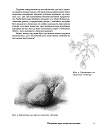 Рослини новими очима. Робочий зошит для спостереження та малювання рослин — Маргарет Колгун #10