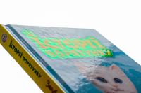 Історії порятунку. Книга 9. Загублене кошеня — Люсі Деніелс #4