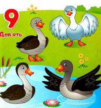 Цифри. 5 пазлів різної складності #12