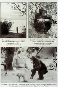 У пошуках надії — Джейн Гудолл #18