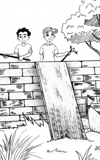 Шедді — Артем Швачка #4