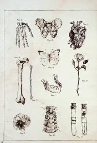 Чудернацька антикварна крамниця — Макура Курама #16