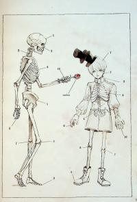 Чудернацька антикварна крамниця — Макура Курама #17