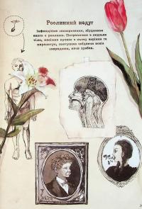 Чудернацька антикварна крамниця — Макура Курама #19