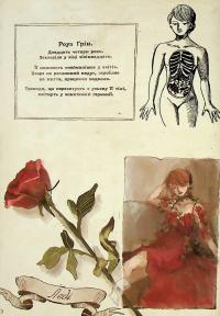 Чудернацька антикварна крамниця — Макура Курама #20