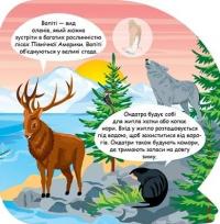 Тварини Північної Америки. Пізнавальні наліпки #4