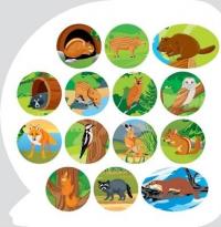 Тварини Північної Америки. Пізнавальні наліпки #5