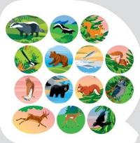 Тварини Північної Америки. Пізнавальні наліпки #6