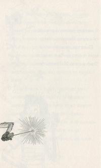 Мама-фея і я. Книга 2. Майбутня фея — Софi Кiнселла #14