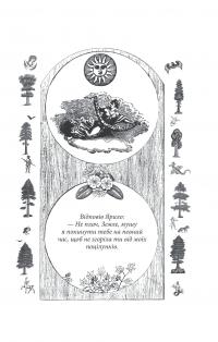 Українські народні казки. Казки про давніх богів, богинь та легендарних богатирів — Олексій Кононенко #14