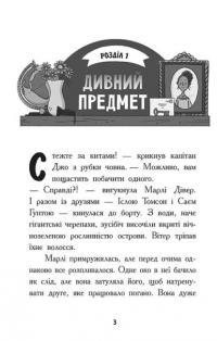 Шукачі скарбів. Книга 3. Острів Літо — Дорі Гіллестад Батлер #6