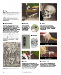 Мистецтво без таємниць — Метью Вілсон #7