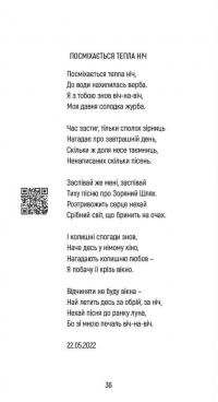 Скіф. Поезія, опалена війною — Володимир Воліков #16