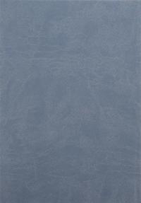 Сповідні розписи сіл Конотопської сотні середини XVIII ст. Том 3. Книга 1 #2