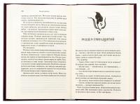 Палкий поцілунок. Книга 1 — Дженніфер Л. Арментраут #5