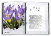 Шінрін-йоку. Цілюще мистецтво лісотерапії — Олівер Люк Делорі #4