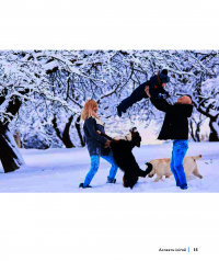 Ікіґай. Віднайдіть сенс свого життя — Джастін Барнс #17