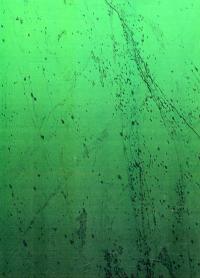 Лікарська таємниця в кримінальному процесі України — Лариса Удалова,Єлизавета Кузмічова-Кисленко #2