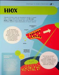 Енциклопедія STEM для дітей. 100 понять майбутнього генія — Дженні Джекобі #10