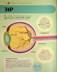 Енциклопедія STEM для дітей. 100 понять майбутнього генія — Дженні Джекобі #11