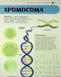 Енциклопедія STEM для дітей. 100 понять майбутнього генія — Дженні Джекобі #14