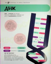 Енциклопедія STEM для дітей. 100 понять майбутнього генія — Дженні Джекобі #15