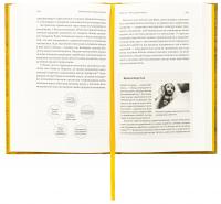 Найкоротша історія економіки — Ендрю Лі #6